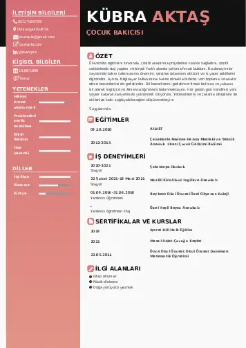 Çocuk Bakıcısı CV Örnekleri cv indir